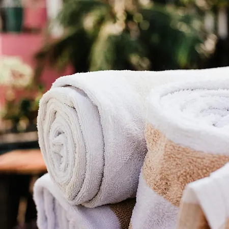 Daire Chaleureuse Echappee : Commodites, Calme, Confort
